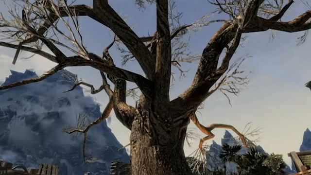 Skyrim ENB Showcase смотреть онлайн