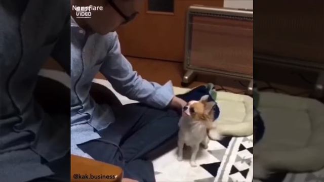19 декабря 2019 г. смотреть онлайн