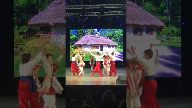 Украинский народный танец смотреть онлайн