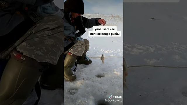 Fishing. Рыбалка. Зимняя рыбалка. смотреть онлайн