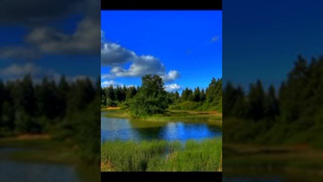 Фанатизм смотреть онлайн