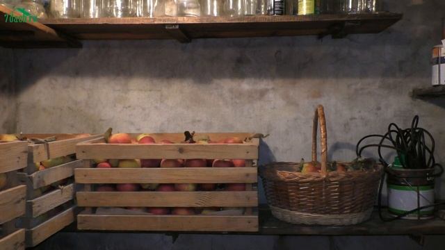 ?? Каким должен быть правильный подвал для хранения овощей - 7 дач смотреть онлайн