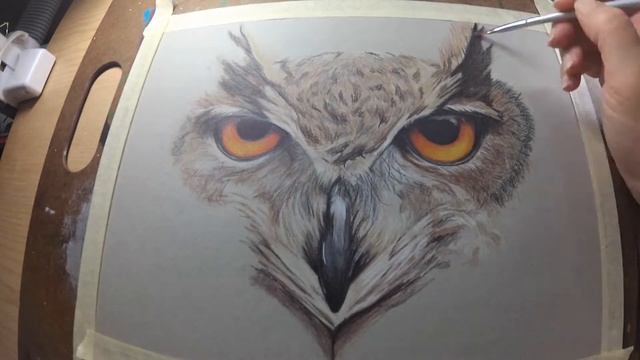 Derwent Drawing Pencil DEMO | Drawing a OWL! смотреть онлайн