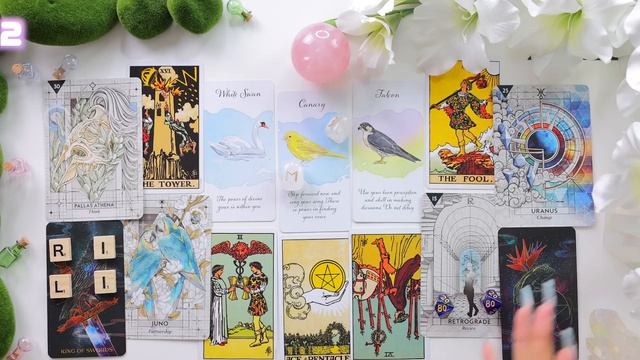 Ever Wonder Who Is Into You?→Find out Now.✨(timeless) PICK A CARD ☀︎ Love Tarot Reading♥️?? смотреть онлайн