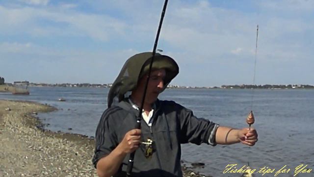 Осетрята на донку. Ловим на Волге!!!! ePN смотреть онлайн