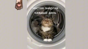 чистая энергия каждый день/практика/саблиминал/скрытые аффирмации