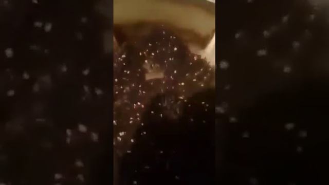 ШОК! Чай Принцесса Нури!