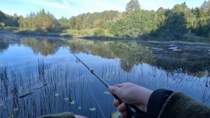 Рыбалка на речке Волошка.