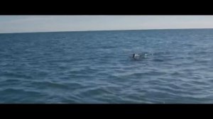 Открытое море: Монстр глубины