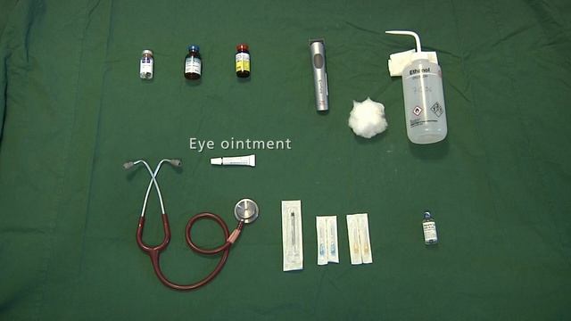 Non-terminal blood sampling techniques in guinea pigs. смотреть онлайн
