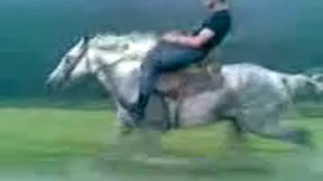Конь 250км/час смотреть онлайн
