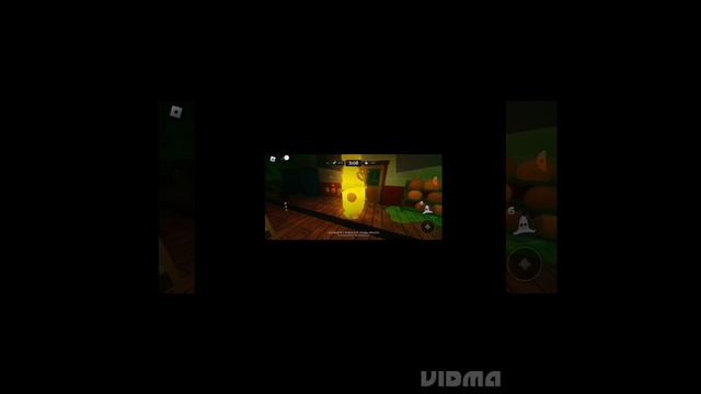 первое   видео