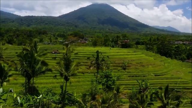 Bali#Cinematic Video | Indonesia# Free Stock Footage смотреть онлайн