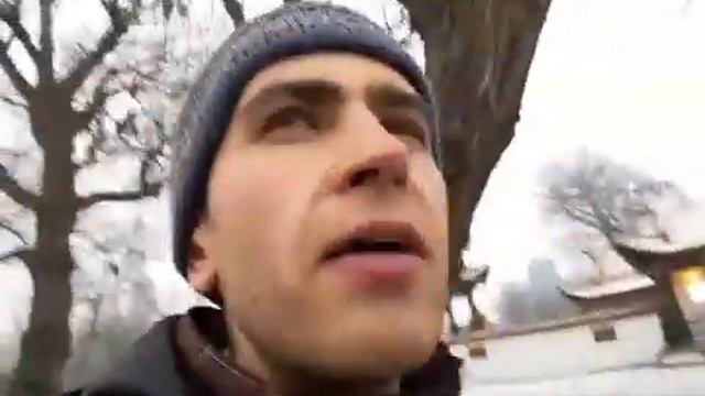 Ура! Я получил австрийские водительские права! смотреть онлайн