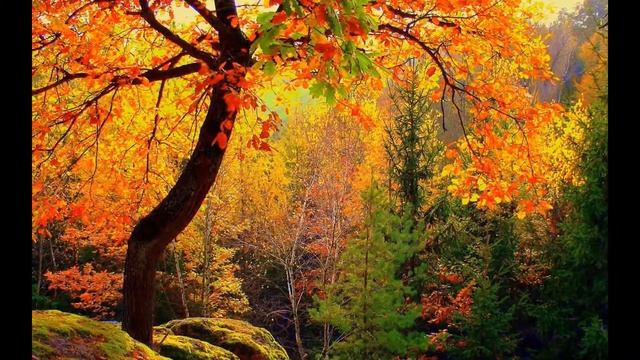 ребят, берегите природу, она ведь так прекрасна!!! смотреть онлайн