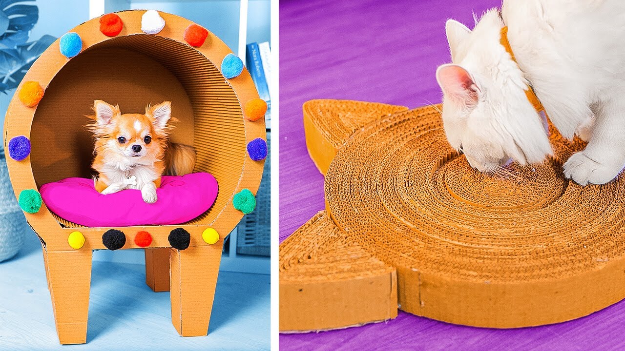 New Cardboard DIY Crafts_ Fun Projects For Furry Friends _ You! 📦🐾