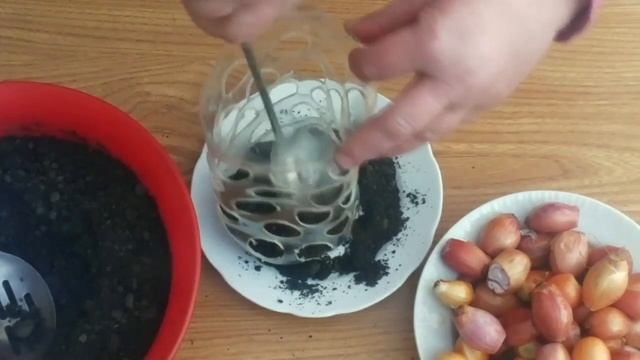 Ремонтный Камертон