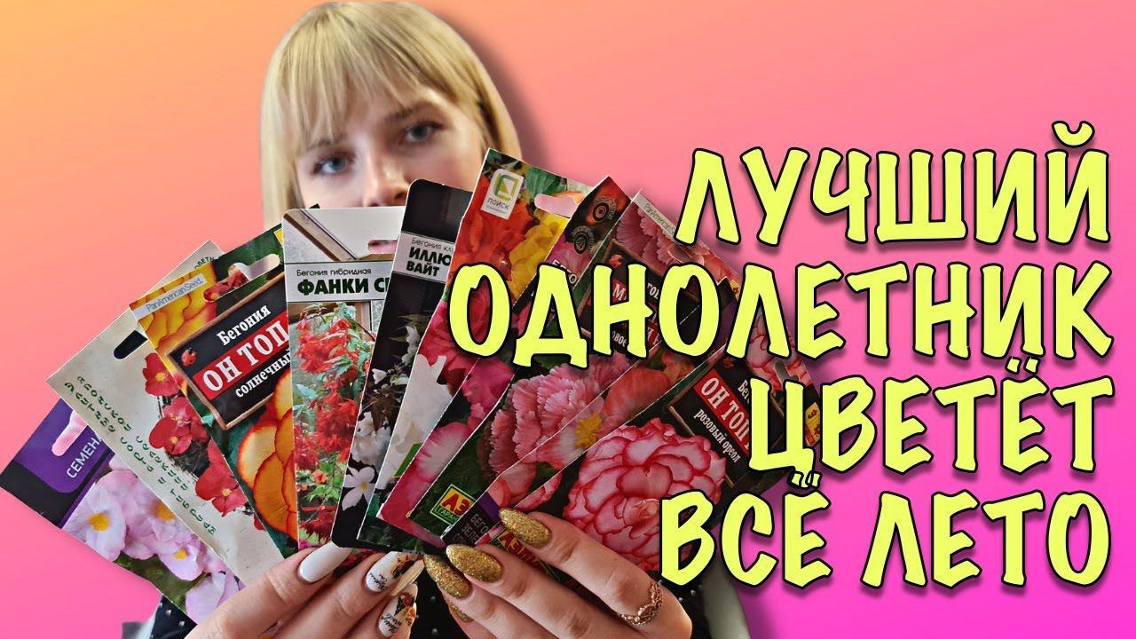 ЦВЕТЁТ ВСЁ ЛЕТО ДО ЗАМОРОЗКОВ! Как вырастить БЕГОНИЮ ИЗ СЕМЯН смотреть онлайн