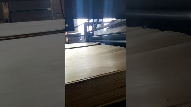 Продам шпон березовый. Сушильный цех ООО "ВИС", приёмка шпона, сушильная камера СУР-4 смотреть онлайн