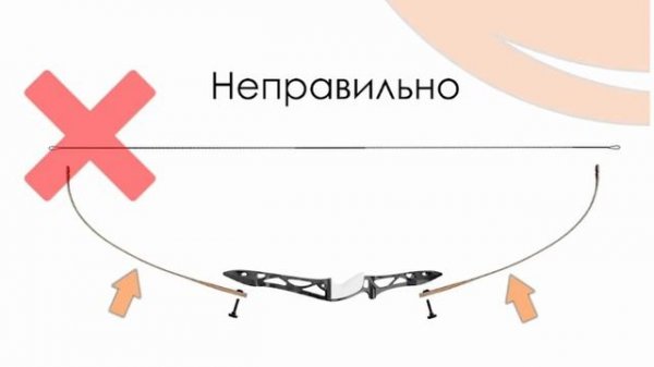 Классический лук для стрельбы Centershot Classic в полной комплектации. Обзор и стрельба.