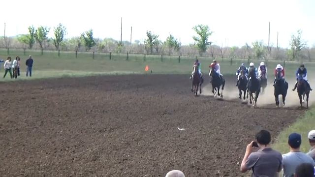 город Пролетарск: скачки ко Дню Победы (фрагмент новостей) смотреть онлайн