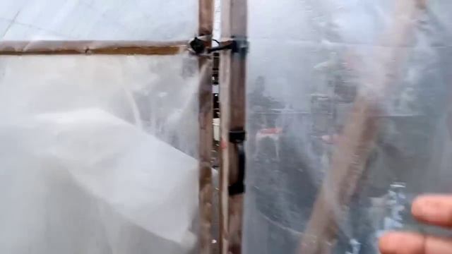 A Full Day Of Gardening | Potatoes, Basil, Zinnias, Marigolds, Tomatoes, Nasturtium #gardening смотреть онлайн