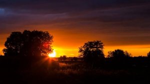 У колодца.   Ольга Захарова