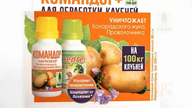 Kомандор+ (Командор плюс) смотреть онлайн