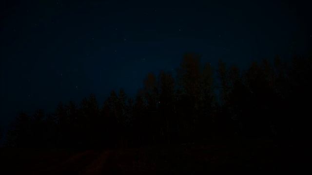 Звук цикад / Шум цикад / Звуки для сна / Sound Of Cicadas/ Noise Of Cicadas / White Noise Soundscap