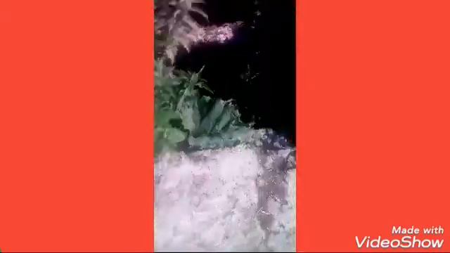 Поркур от дяди Вити смотреть онлайн