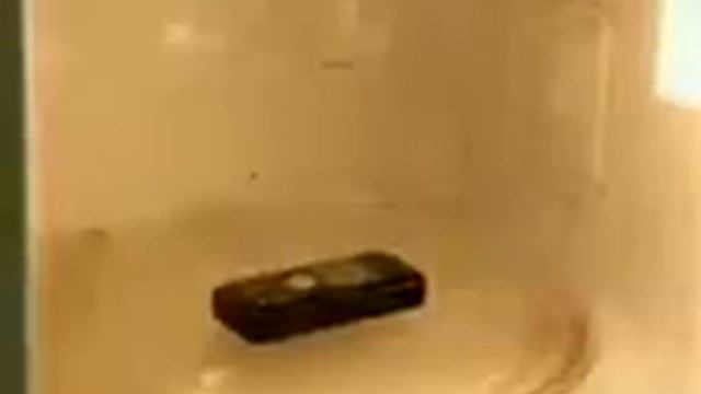 что будет если телефон засунуть в микроволновка.3gp смотреть онлайн