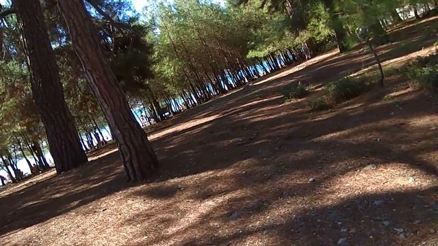 Абхазия. Лидзава, Агрба 26а. Дорога к морю. Часть 6 смотреть онлайн