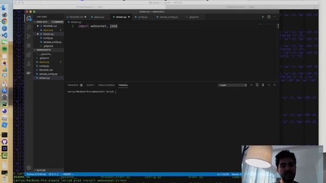 Real-Time Streaming Stock Market Data with Python and Websockets смотреть онлайн