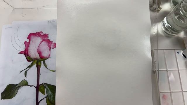 Роза Белла Вита Часть 5 смотреть онлайн