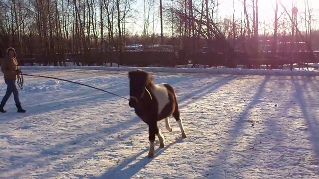 Фантик веселится смотреть онлайн
