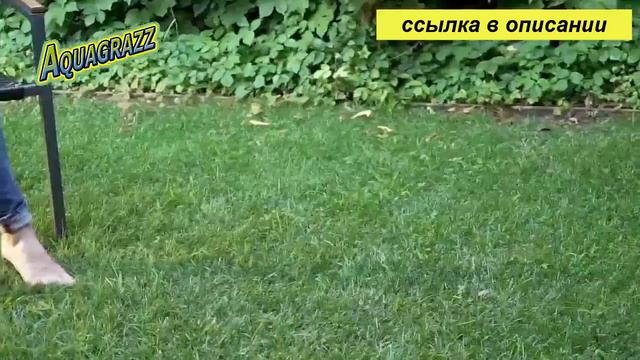 как правильно делать газон на даче смотреть онлайн