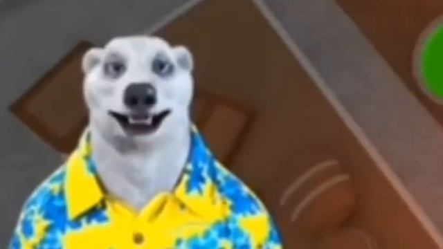 ОБРАЩЕНИЕ БЕЛОГО МЕДВЕДЯ К @Dreamix66655g смотреть онлайн