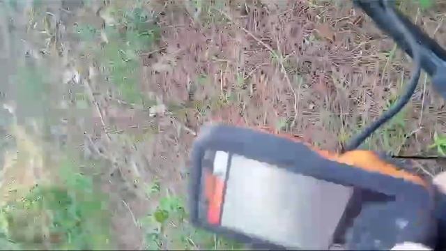 Detector de metales QUEST Q20 Buscando en las pinedas encontramos Herramientas antiguas смотреть онлайн