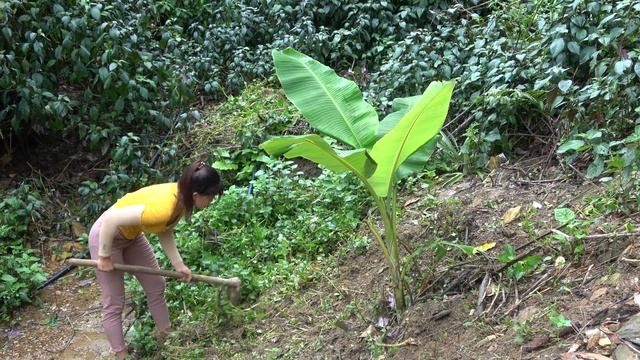 Farm Building, My Daily Life. OFF GRID FARM - My Free Life / Thu Lieu смотреть онлайн