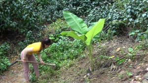 Farm Building, My Daily Life. OFF GRID FARM - My Free Life / Thu Lieu