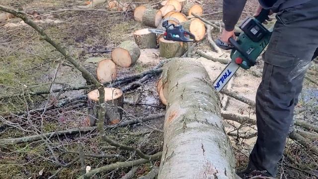 Piła spalinowa kontra elektryki! Lehmann (obecnie Daewoo DACS 4500) vs Stervins, Parkside 40-LI B2. смотреть онлайн