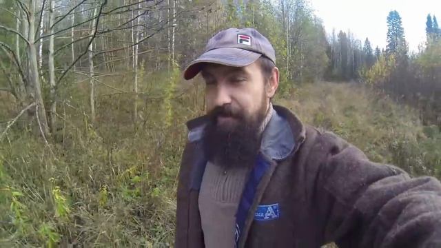 [ЛТ]: Маламут в деревне: стоит ли заводить и чего ждать смотреть онлайн