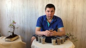 Грунт для Бонсай