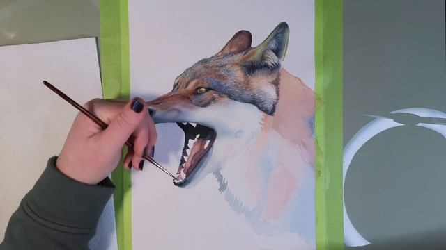 Watercolor Wolf Painting Timelapse | Painting Animals | Realistic Watercolor Painting Timelapse смотреть онлайн