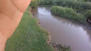 ловля большого Усача на реке Сунжа