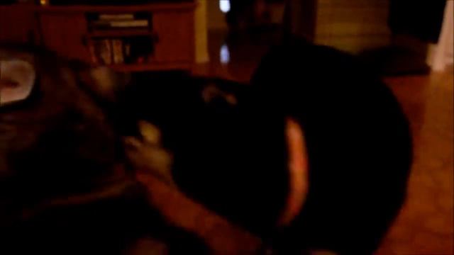 June 16, 2013 Father's Day With Nitro, Shadow & Petunia