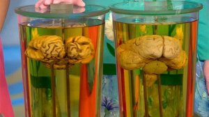 Жить здорово! Выпуск от 30.06.2014