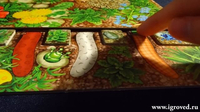 Червячки-огородники. Обзор настольной игры от Игроведа. смотреть онлайн