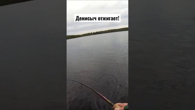 Играй гармонь #карелия #fishing #рыбалка #fish #природа_россии смотреть онлайн