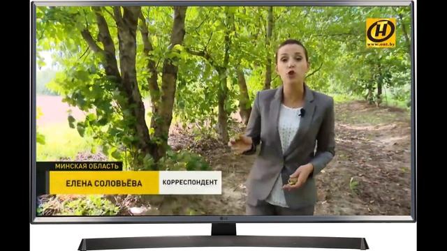 В Беларуси фундук и грецкий орех адаптируют к промышленному производству смотреть онлайн